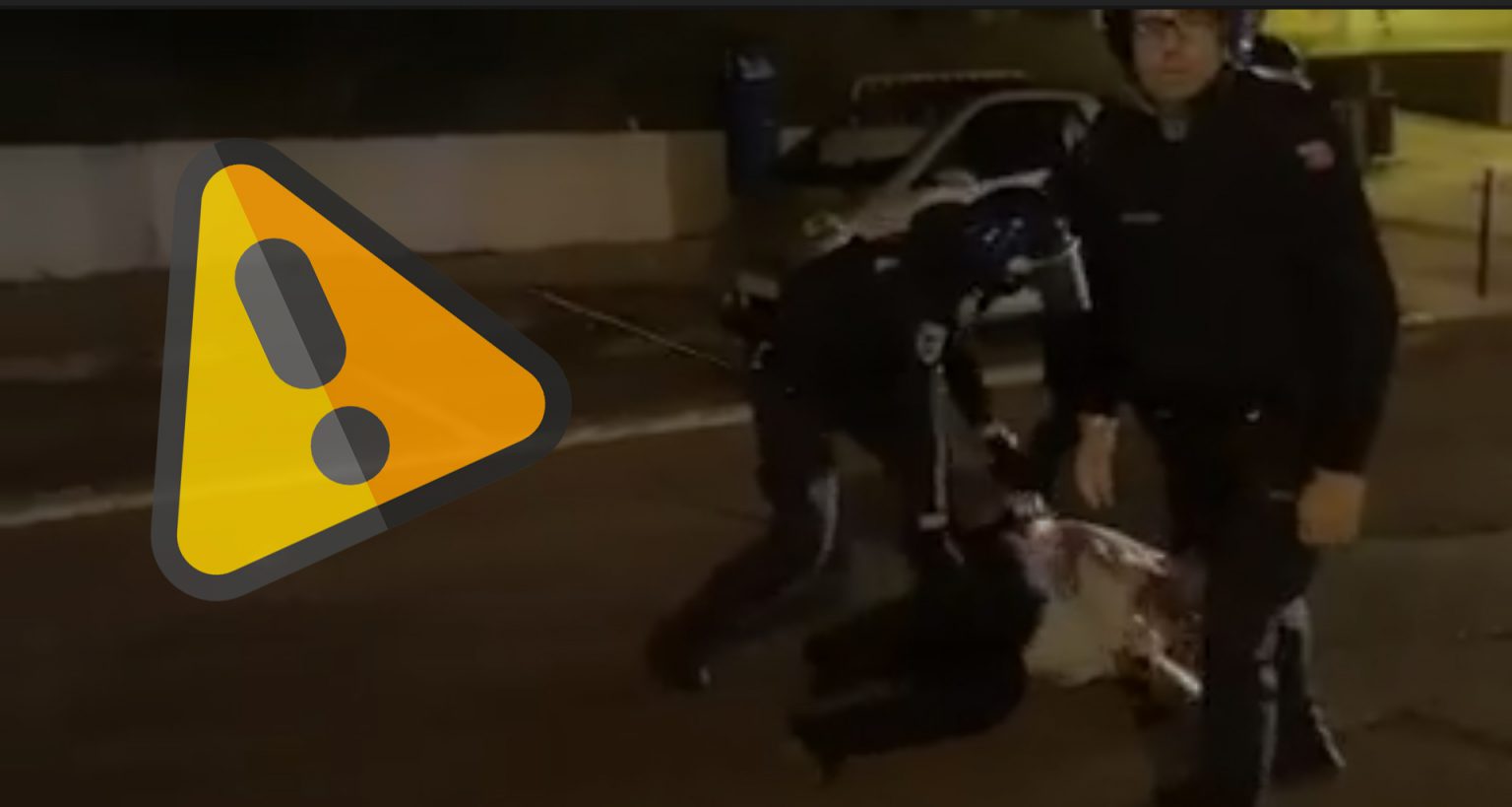 POLÍCIA AGRIDE CIVIS APÓS O JOGO NO ESTÁDIO DA LUZ